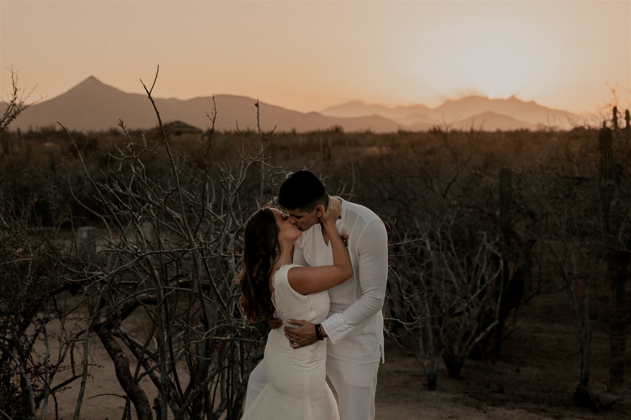 Näbia · Los Cabos