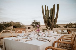 intimate elopement in paradero Todos Santos